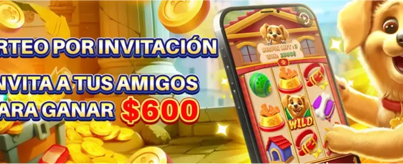 Bonos exclusivos para ti